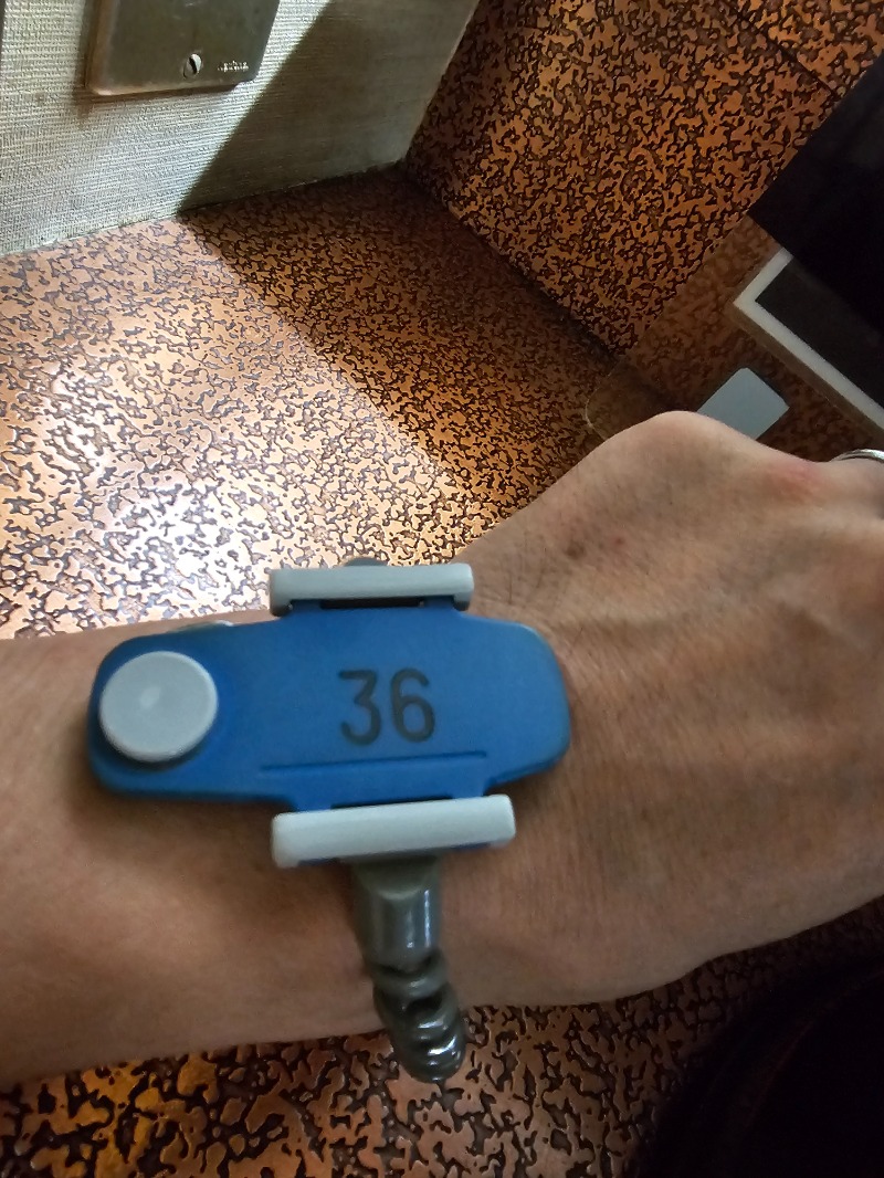 週末サウナーさんのサウナしきじのサ活写真