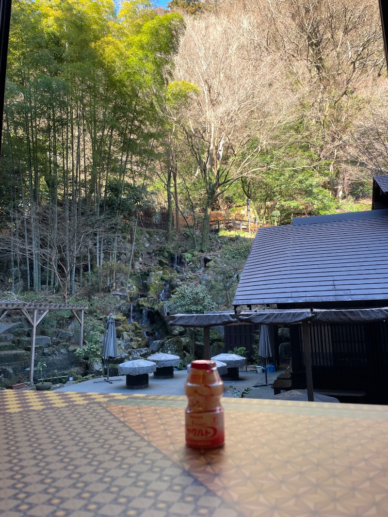 虫親父さんの箱根湯本温泉 天成園のサ活写真