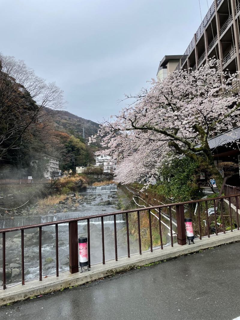 虫親父さんの箱根湯本温泉 天成園のサ活写真