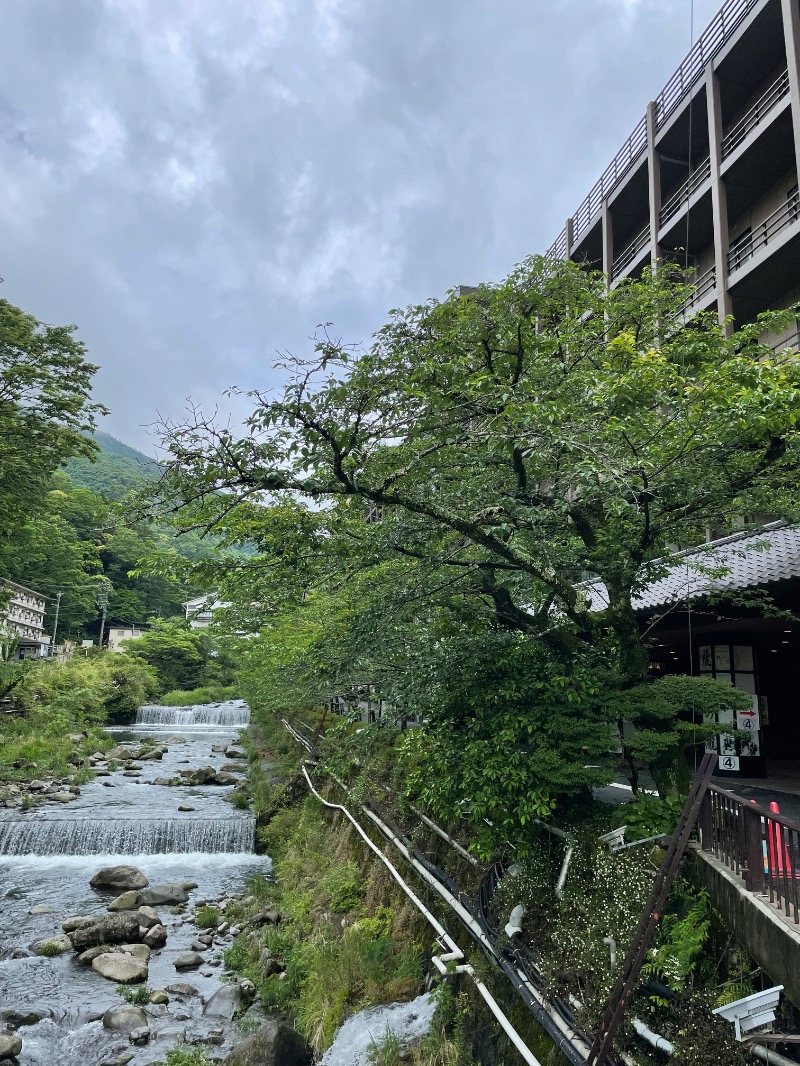 虫親父さんの箱根湯本温泉 天成園のサ活写真