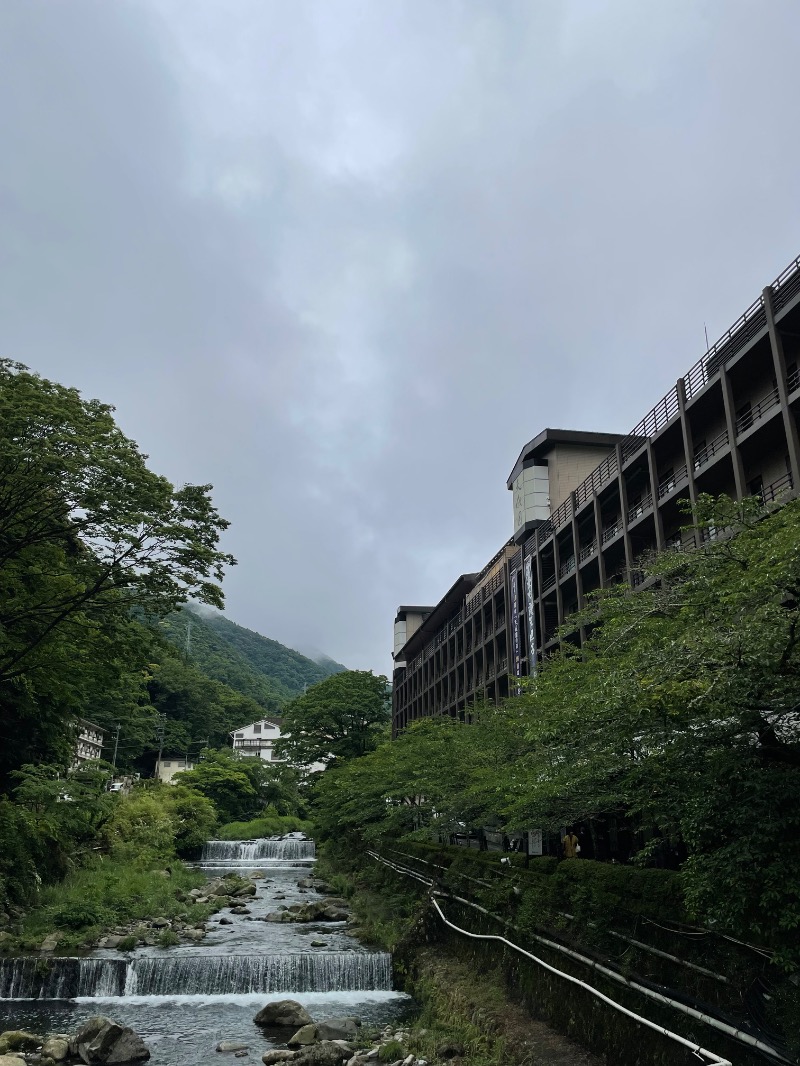 虫親父さんの箱根湯本温泉 天成園のサ活写真