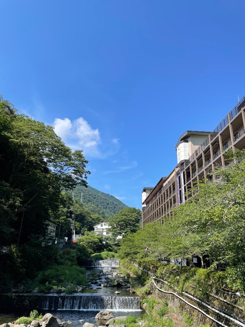 虫親父さんの箱根湯本温泉 天成園のサ活写真