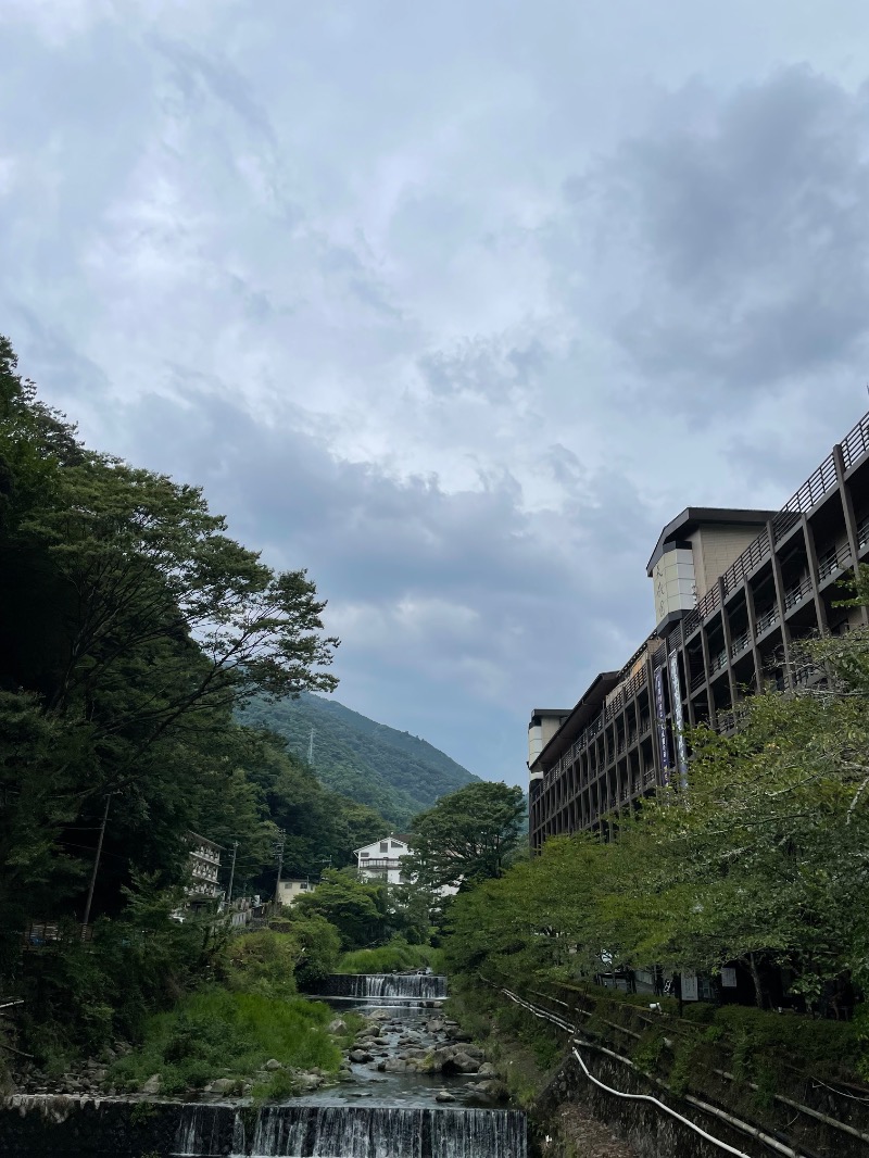 虫親父さんの箱根湯本温泉 天成園のサ活写真