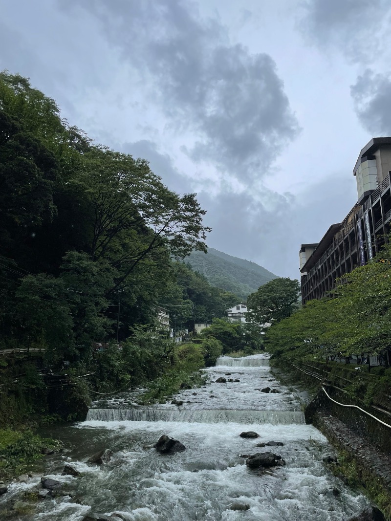虫親父さんの箱根湯本温泉 天成園のサ活写真