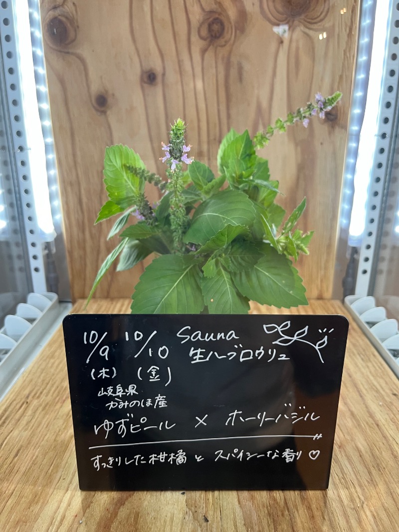 kazukiさんの岐阜各務原 恵みの湯のサ活写真