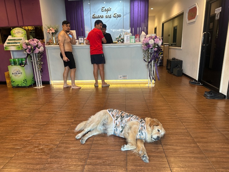 孤島さんのEagle Sauna & Health Massageのサ活写真