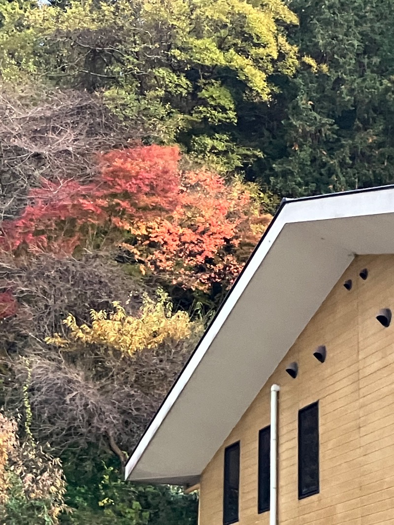 はちさんのおふろcafe bijinyu | 美肌湯のサ活写真