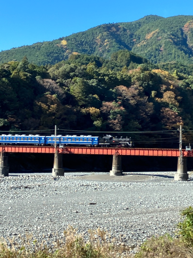 はちさんの大井川鐵道 川根温泉ホテルのサ活写真