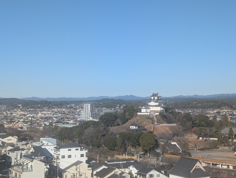 とらさんの茶月の湯 ドーミーインEXPRESS掛川のサ活写真