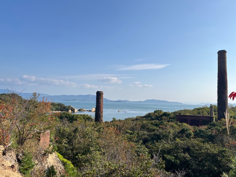 シケモクさんの阿智の湯 ドーミーイン倉敷のサ活写真