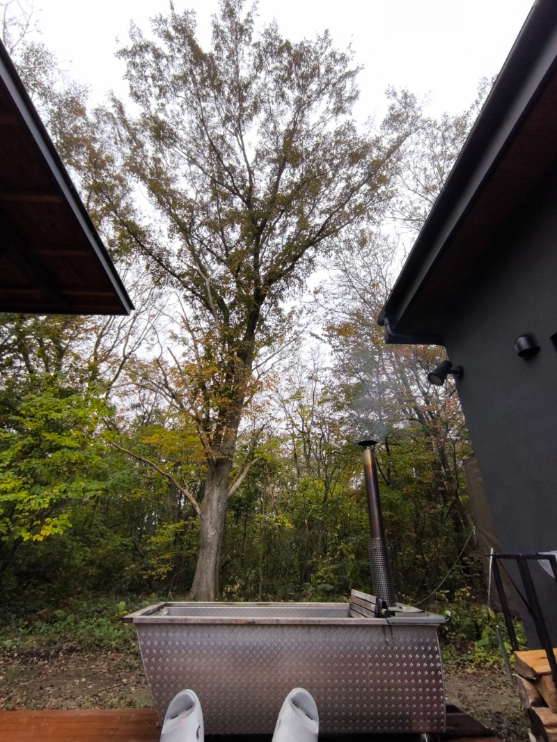 くまっく(若)さんのHOTEL BOTHのサ活写真