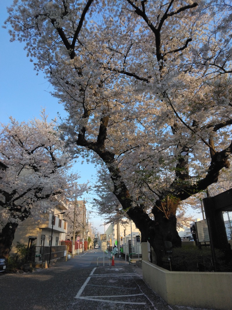 カナブンおじさんさんの東京染井温泉 SAKURAのサ活写真