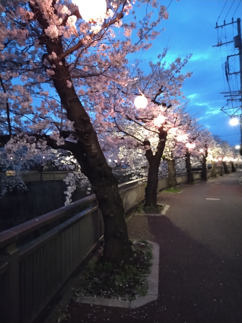 カナブンおじさんさんの愛染湯のサ活写真