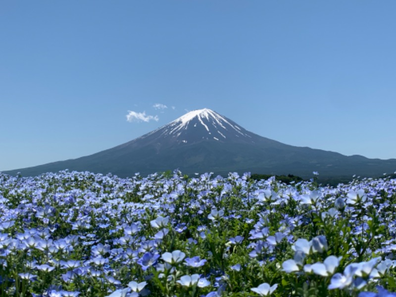 ザックさんの河口湖 ホテル 桜庵のサ活写真