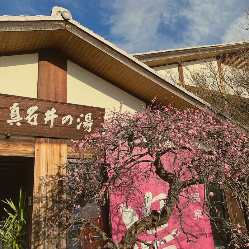 カラーひよこさんの天然温泉 真名井の湯 大井店のサ活写真