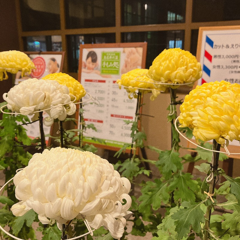 カラーひよこさんの天然温泉 真名井の湯 大井店のサ活写真