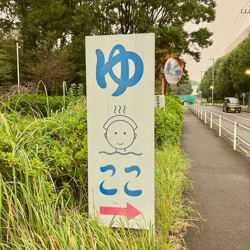 カラーひよこさんの柳泉園グランドパーク(湯~プラザ 柳泉園)のサ活写真