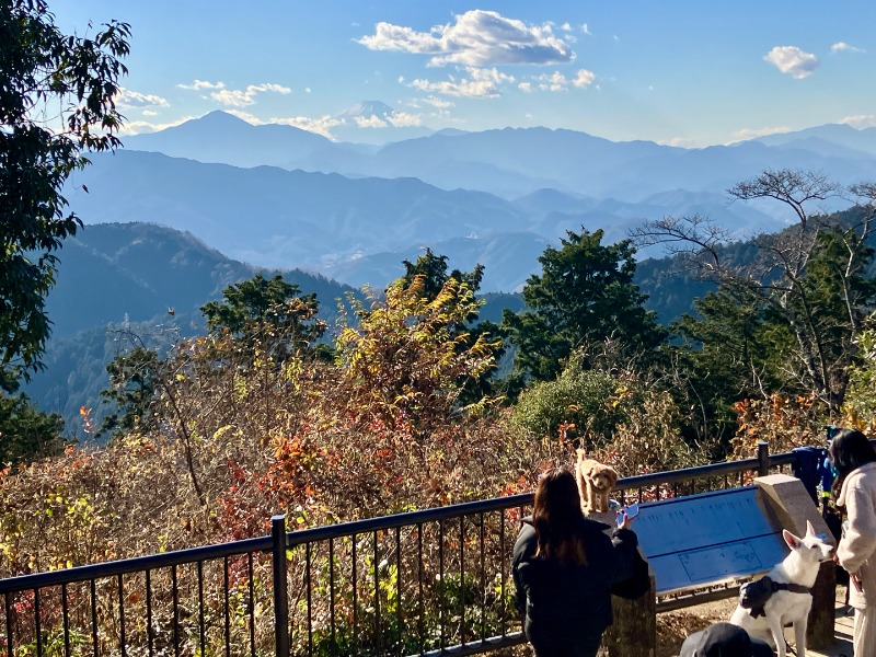 カラーひよこさんの京王高尾山温泉 極楽湯のサ活写真