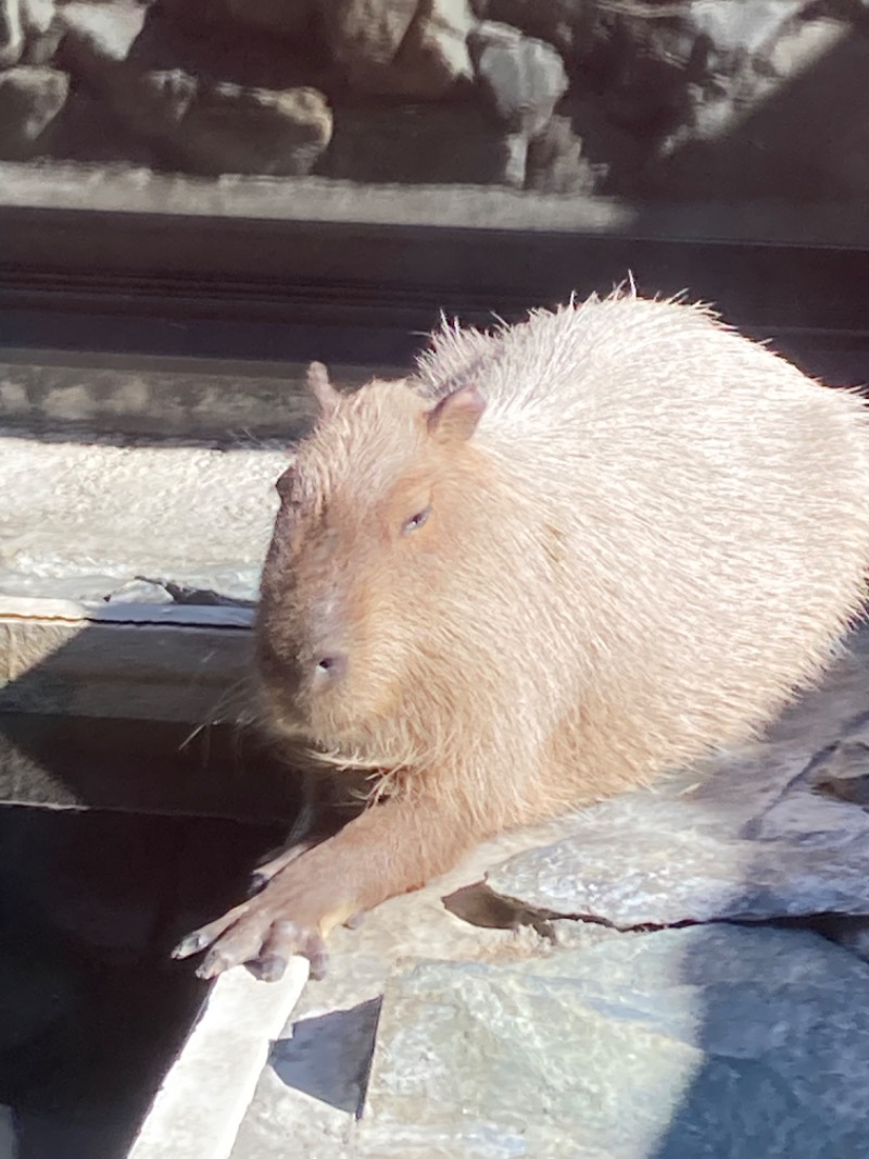 まーきゅん🌿💦😚さんの石狩天然温泉 番屋の湯のサ活写真