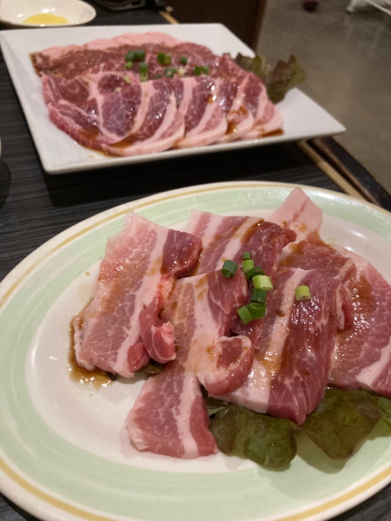 エクストリーム・ノイズ・チラーさんの吹上温泉保養センター 白銀荘のサ活写真