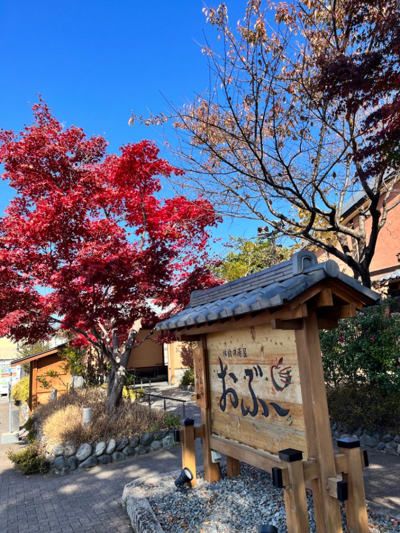 やすさんの林檎の湯屋 おぶ～のサ活写真