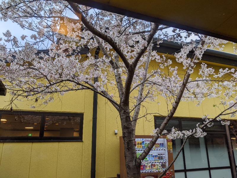 サウナ廃人は麺 de YANSUさんの極楽湯 吹田店のサ活写真