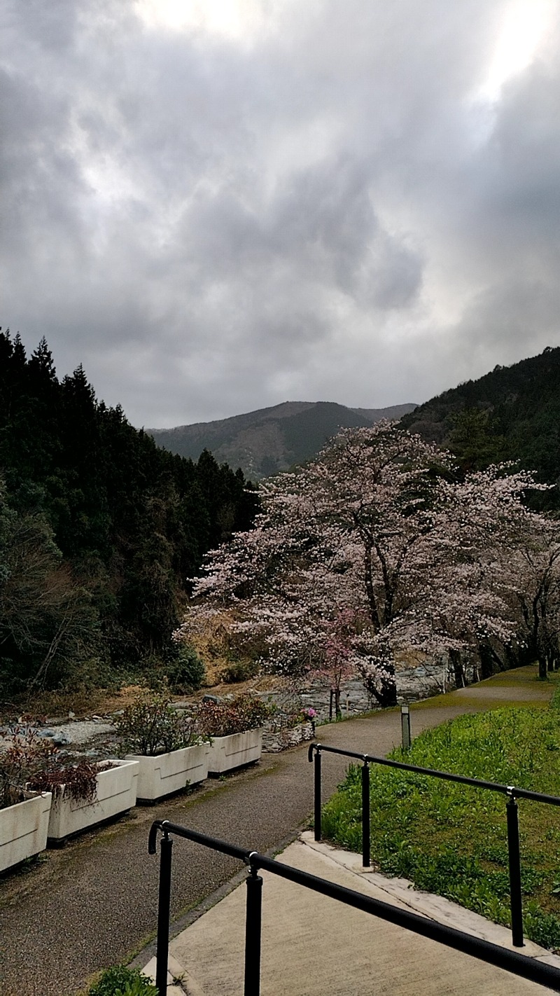 源泉かけ流しサウナーさんの国民宿舎 湯来ロッジのサ活写真