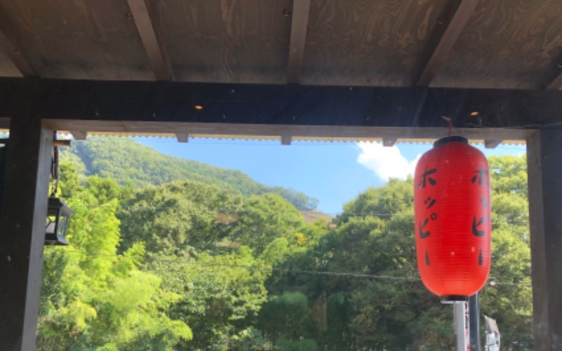 ナナメさんのスーパー銭湯 佐野やすらぎの湯のサ活写真