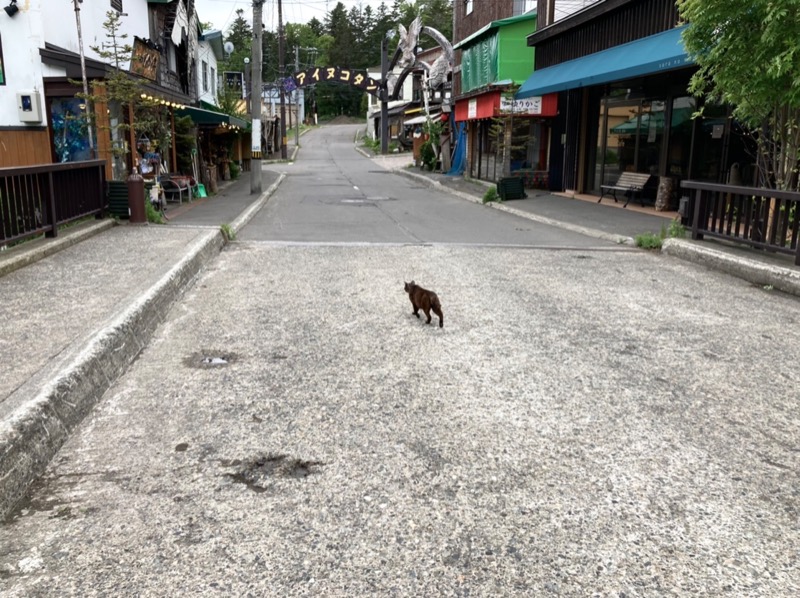 ゆ狸ぽんさんのプレミアホテル-CABIN-帯広のサ活写真