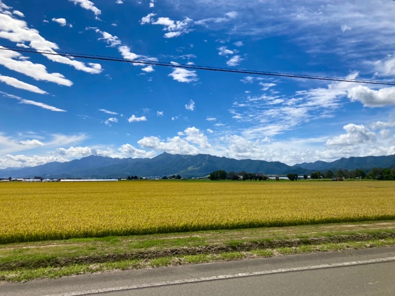 ゆ狸ぽんさんの吹上温泉保養センター 白銀荘のサ活写真