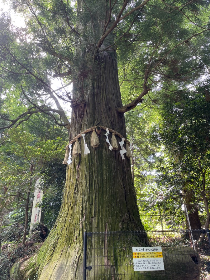 虫親父さんの相模・下九沢温泉 湯楽の里のサ活写真