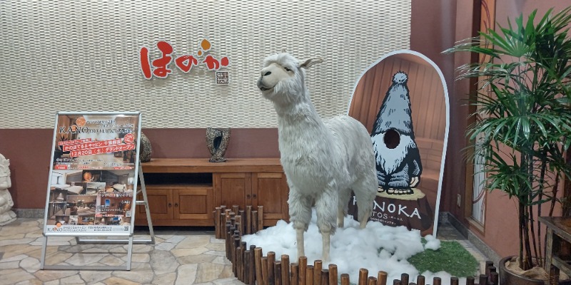 イスラボニータさんの湯の郷ほのか 蘇我店のサ活写真