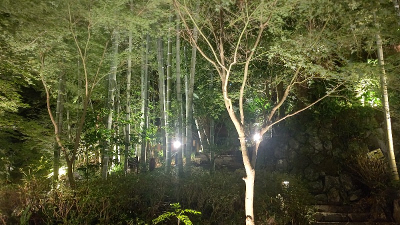 イスラボニータさんの箱根湯本温泉 天成園のサ活写真