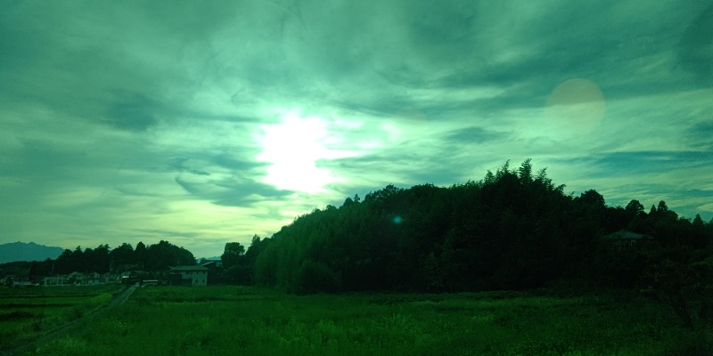 イスラボニータさんのなにわ健康ランド 湯〜トピアのサ活写真