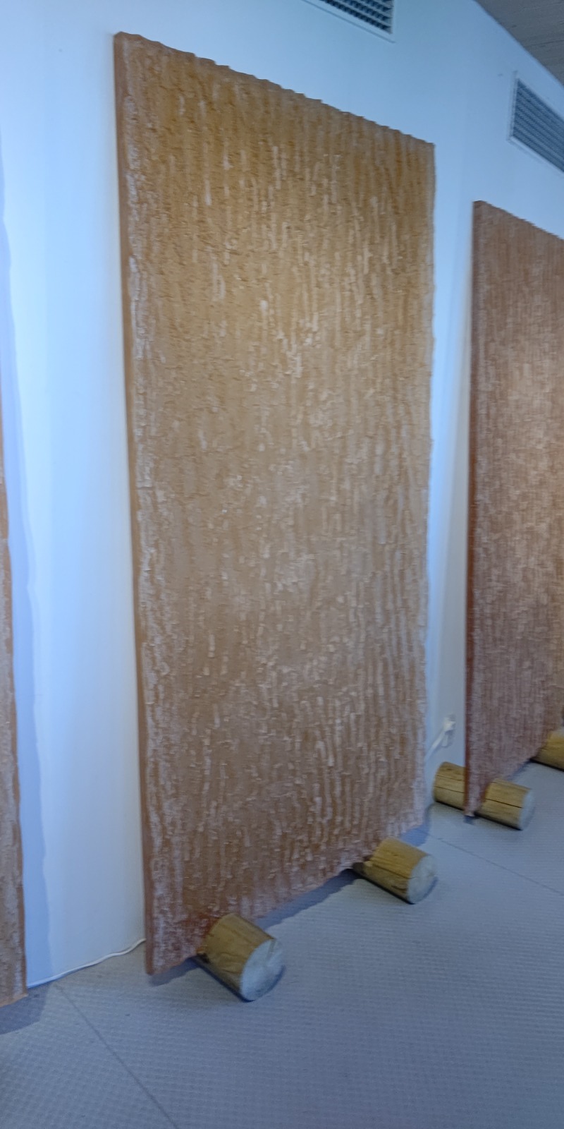 イスラボニータさんのなにわ健康ランド 湯〜トピアのサ活写真