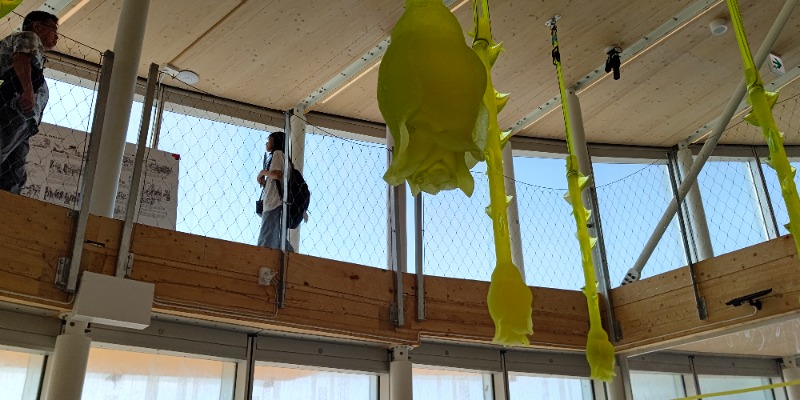 イスラボニータさんのなにわ健康ランド 湯〜トピアのサ活写真