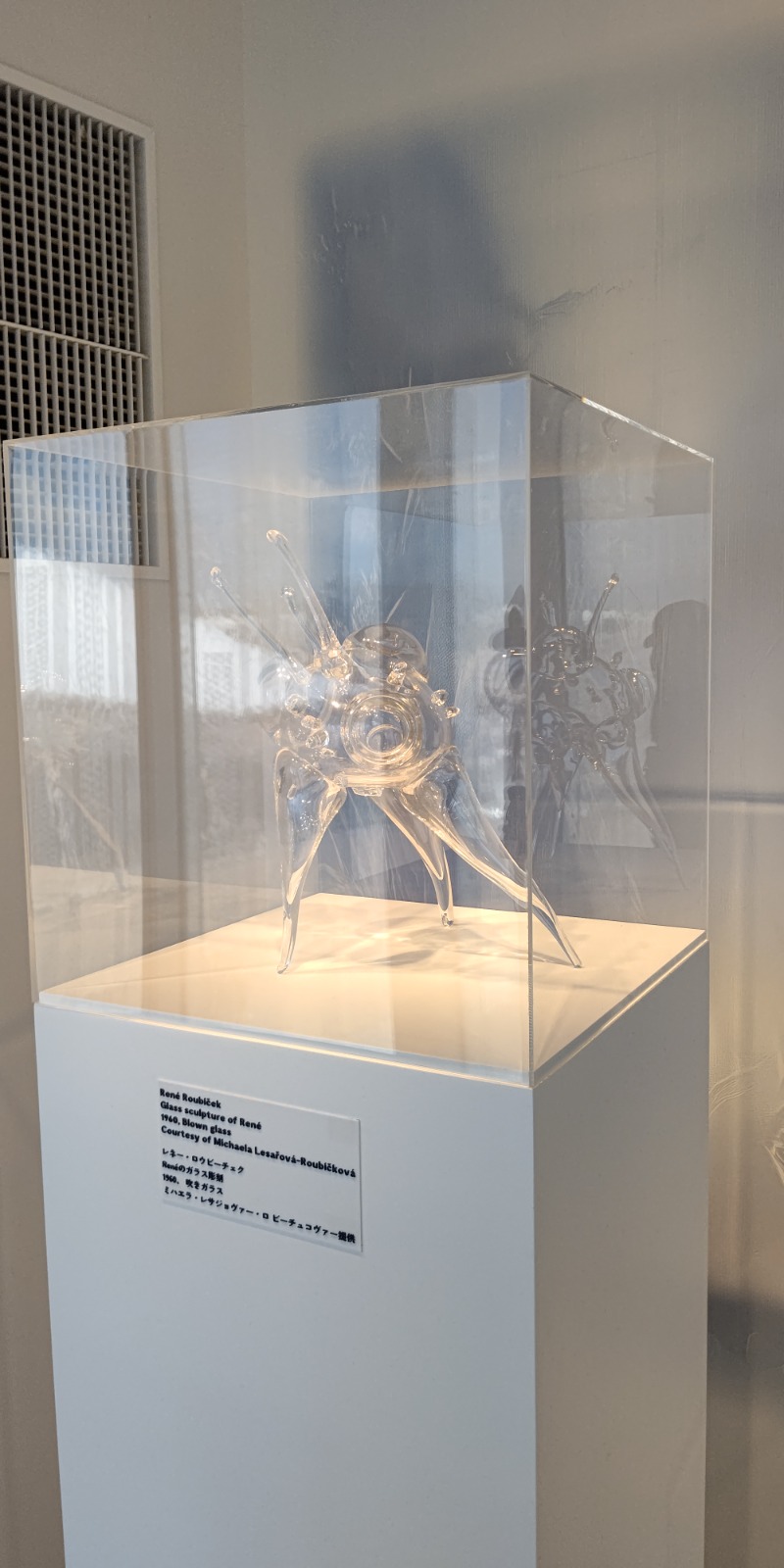 イスラボニータさんのなにわ健康ランド 湯〜トピアのサ活写真