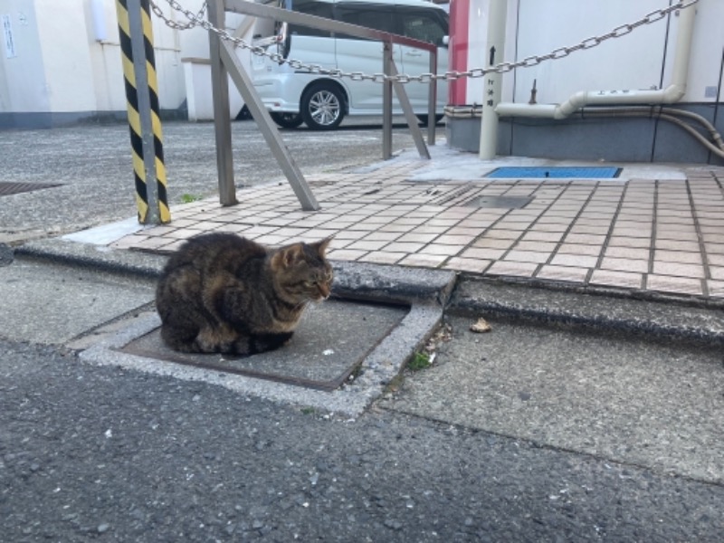 ゆぽさんのルビーパレスのサ活写真