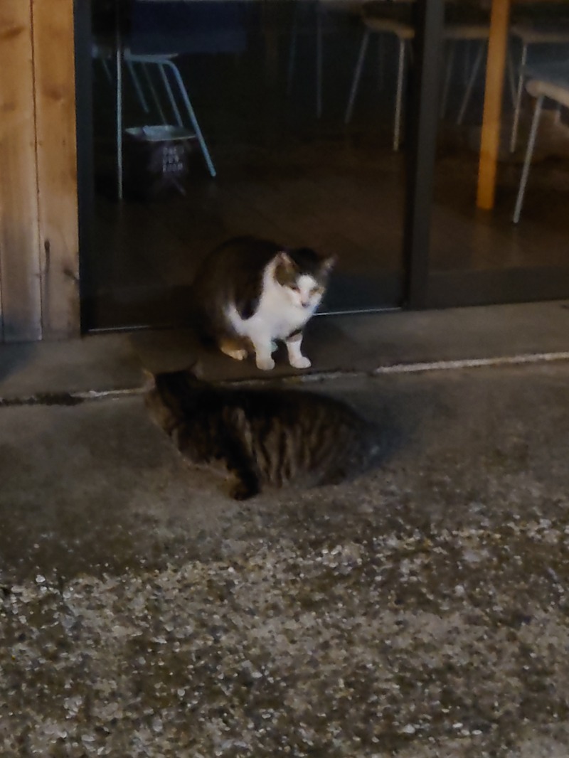 ゆの字さんのCOCOFURO たかの湯のサ活写真