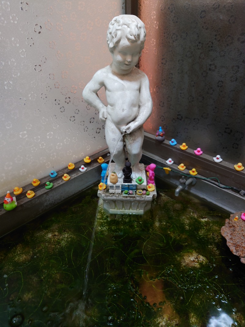 ゆの字さんの小松湯のサ活写真