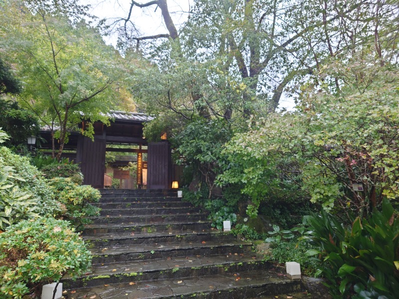 Sさんの御殿場高原 天然温泉 茶目湯殿のサ活写真