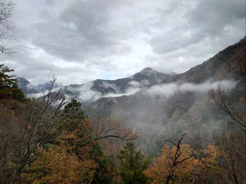 Sさんのサウナ寸又峡 -TripTrain-のサ活写真