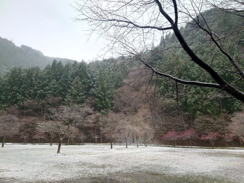 Sさんのサウナ寸又峡 -TripTrain-のサ活写真