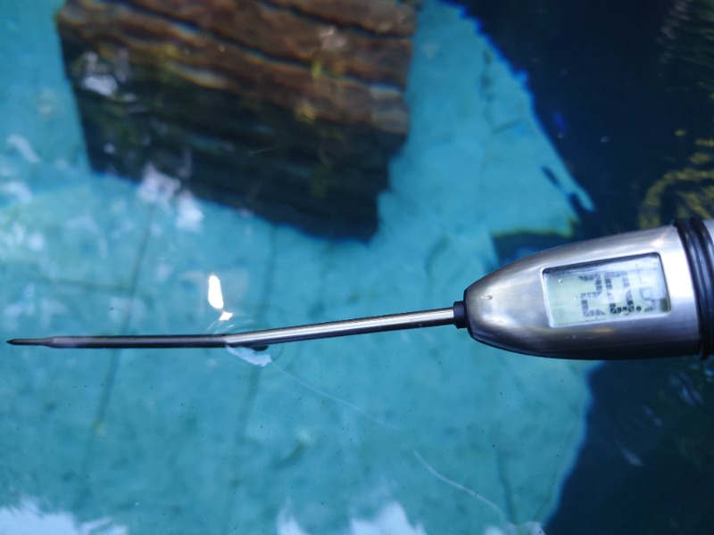 Sさんのサウナ寸又峡 -TripTrain-のサ活写真