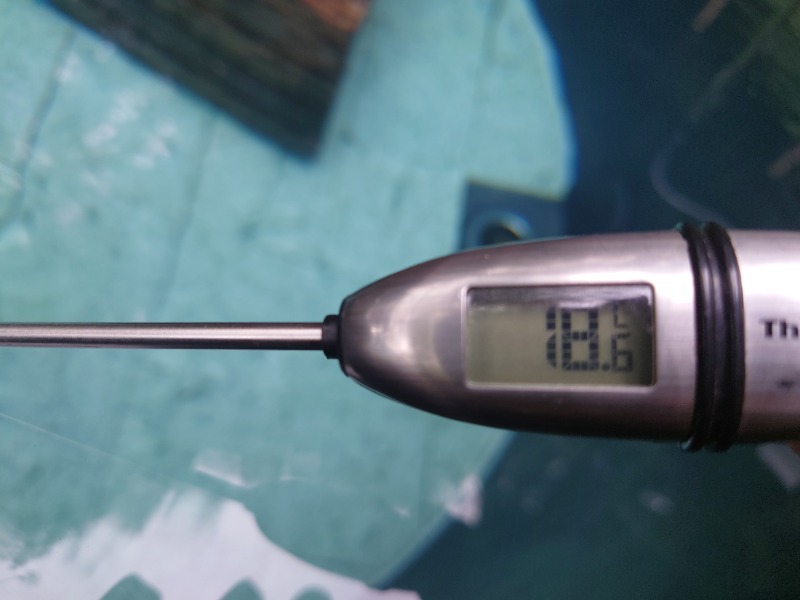 Sさんのサウナ寸又峡 -TripTrain-のサ活写真