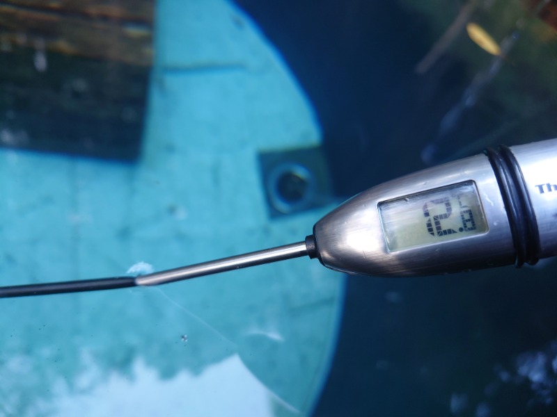 Sさんのサウナ寸又峡 -TripTrain-のサ活写真