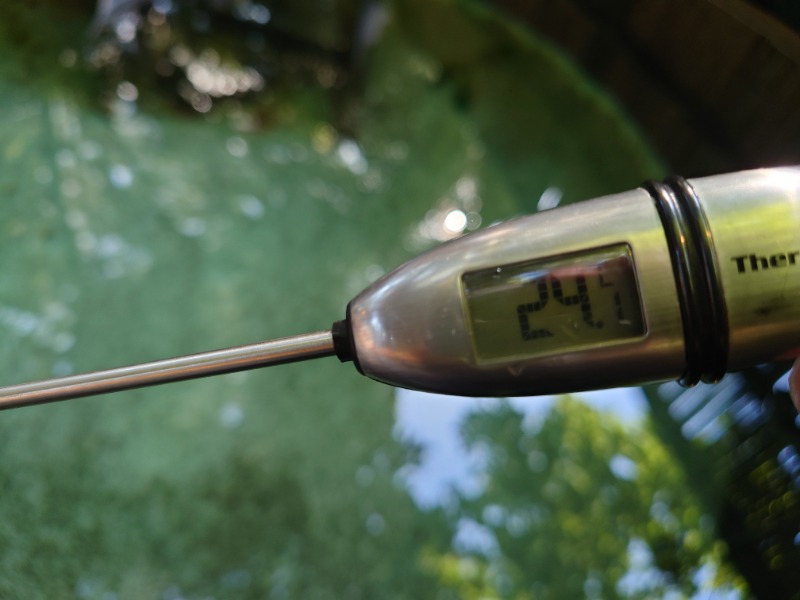 Sさんのサウナ石畳-TripTrain(トリップトレイン)-のサ活写真