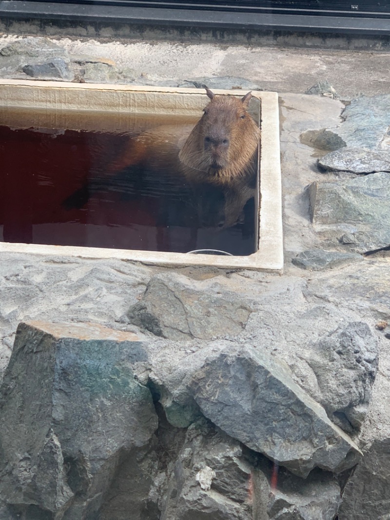 446さんの石狩天然温泉 番屋の湯のサ活写真