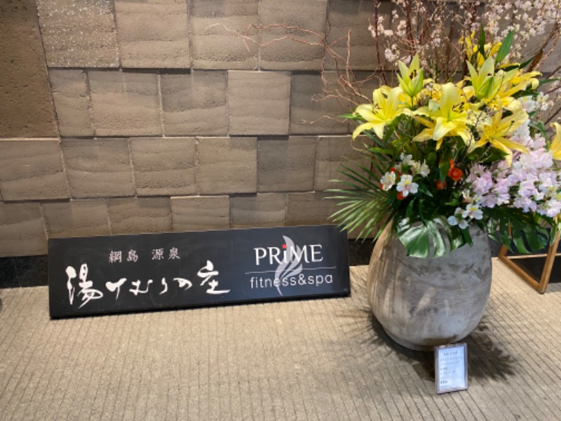 N3さんの綱島源泉 湯けむりの庄のサ活写真