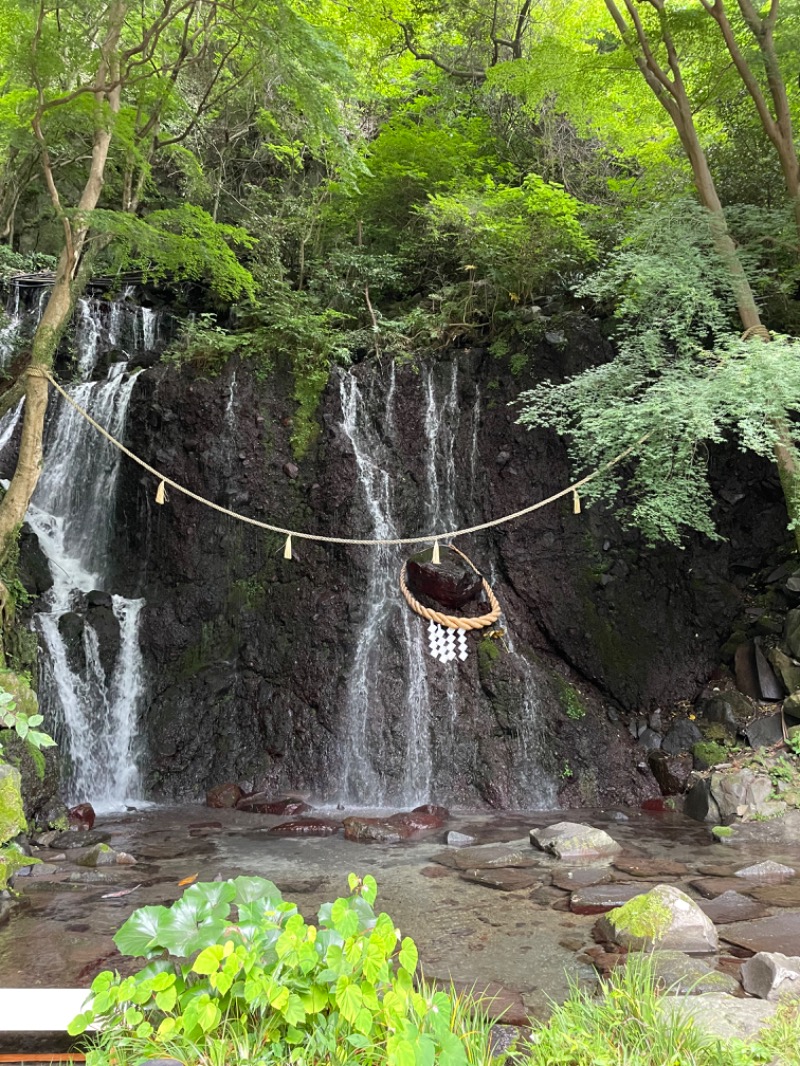 さゆりさんの箱根湯本温泉 天成園のサ活写真